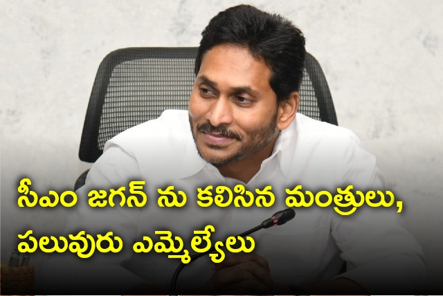 Minister and MLAs met CM Jagan