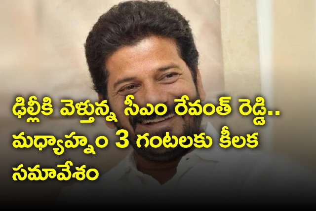 CM Revanth Reddy going to Delhi