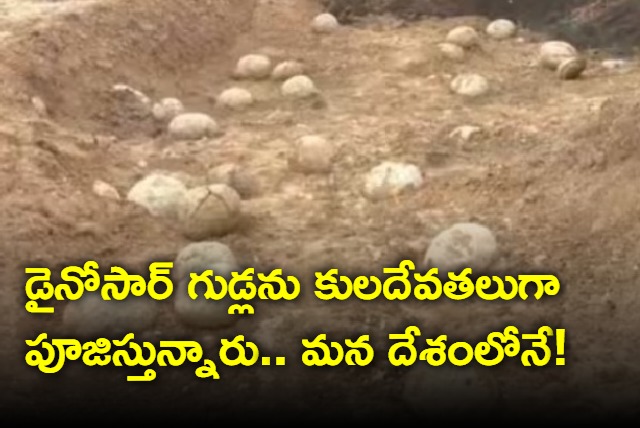 People offering prayers to Dinosaur eggs