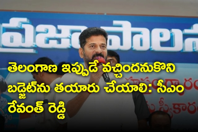 CM Revanth Reddy review on budget