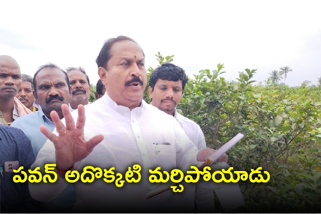 Minister Kottu Sathyanarayana slams Pawan Kalyan