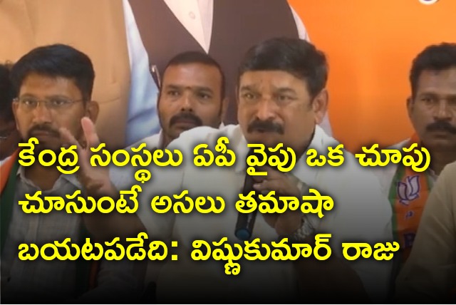 Vishnu Kumar Raju said if central agencies look into AP matters situation would have been different 