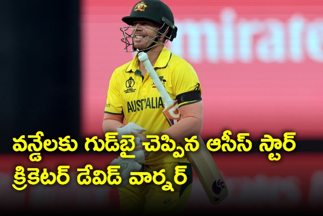 David Warner said goodbye to ODIs