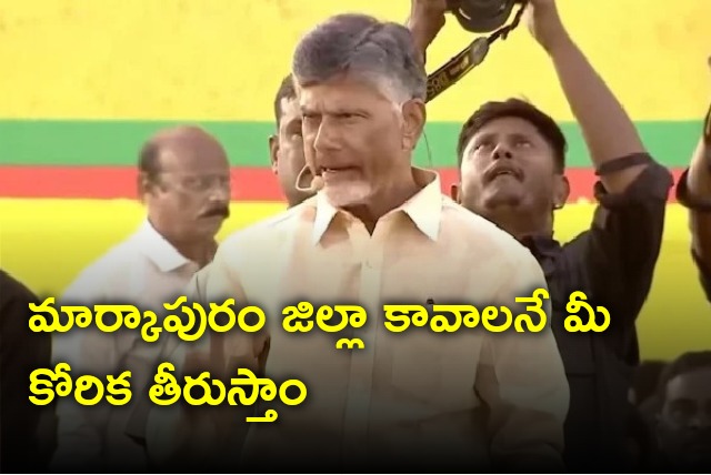 Chandrababu gives assurance on proposed Markapur district