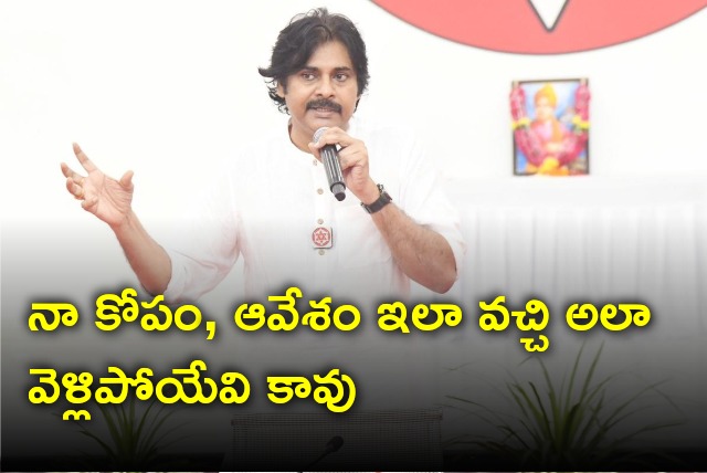 Pawan Kalyan held meeting with youth