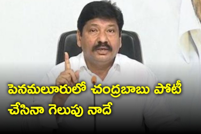 I will win in Penamaluru even Chadrababu contests against me says Jogi Ramesh