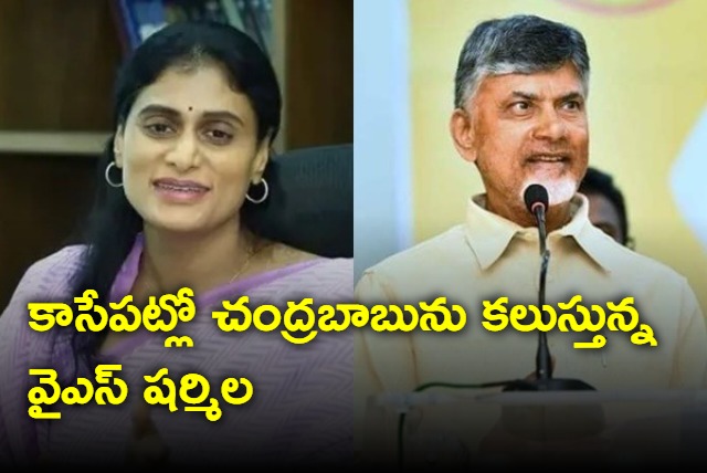 YS Sharmila to meet Chandrababu