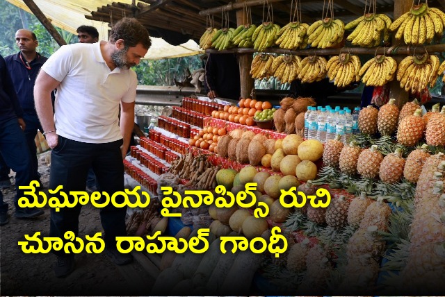 Rahul Gandhi tastes Meghalaya pineapple 