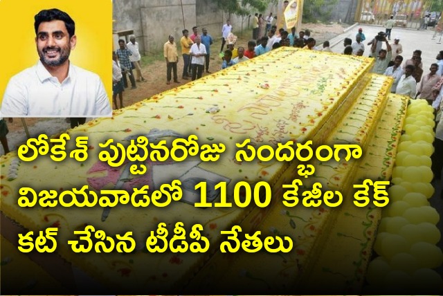 TDP leaders cut 1100 kg huge cake on Nara Lokesh birthday