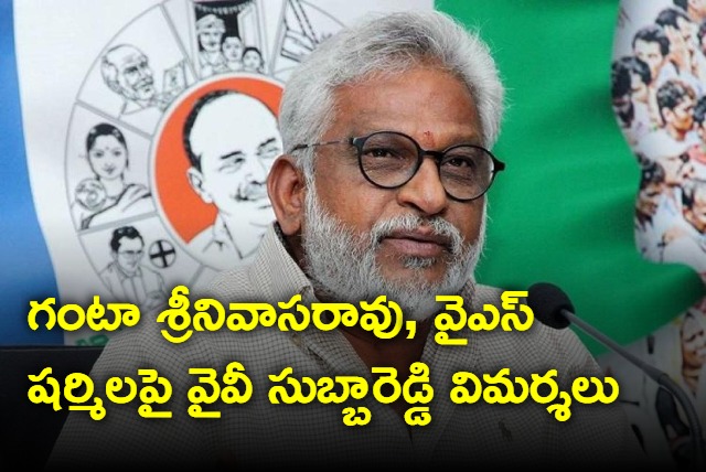 YV Subba Reddy comments on Ganta Srinivasa Rao and YS Sharmila