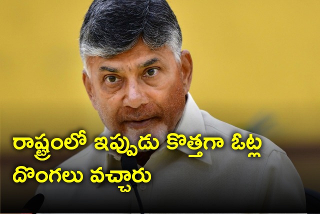 Chandrababu wishes voters on National Voters Day