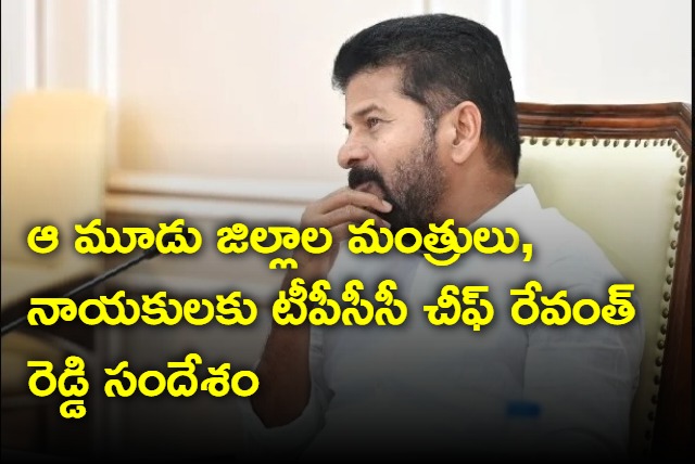 TPCC chief Revanth Reddy message to congress leaders