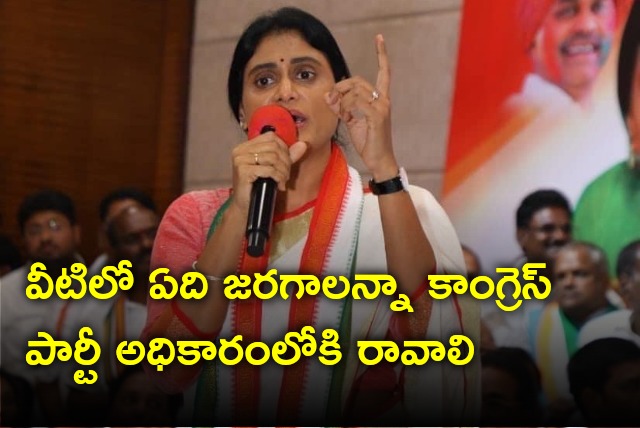 Sharmila says only Congress party will give special status to AP