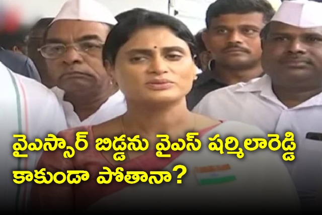 YS Sharmila fires on YSRCP leaders