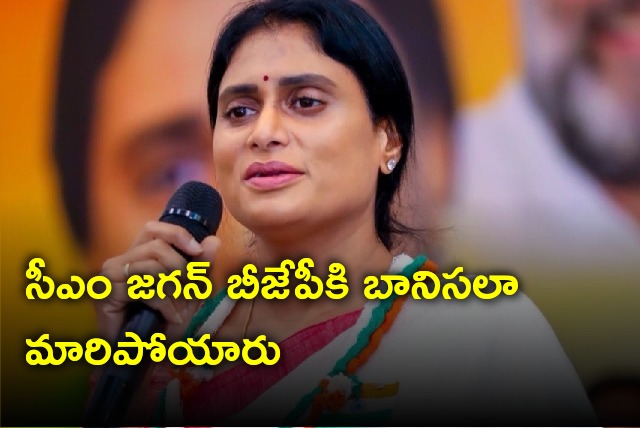 YS Sharmila severe comments on CM Jagan