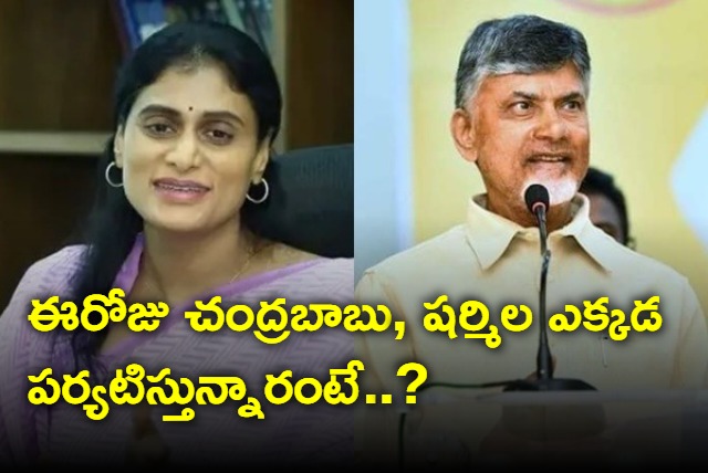 Chandrababu and YS Sharmila today schedule