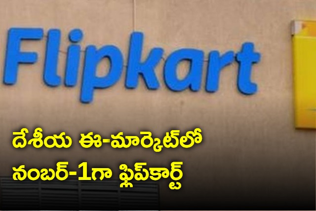 Ecommerce giant Flipkart dominates Indian market