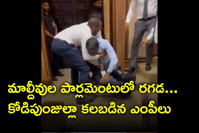 Brawl takes place in Maldivian parliament 