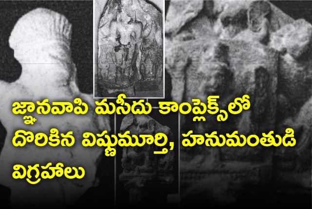 Lord Vishnu and Lord Hanuman sculptures found in Gyanvapi mosque complex