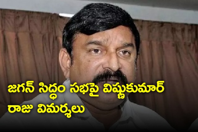 Vishnu Kumar Raju fires on CM Jagan