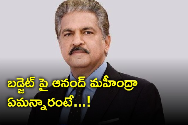 What Anand Mahindra opines on Budget