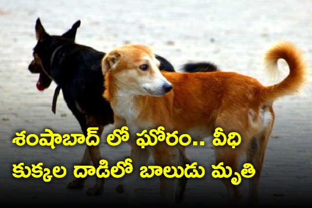  Boy Mauled to Death by Stray Dogs in Shamshabad