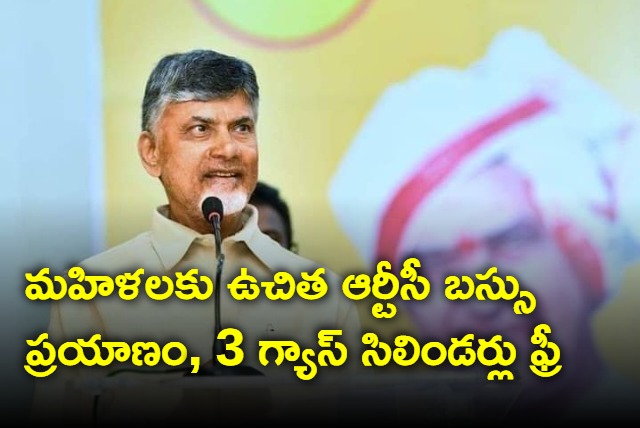 Chandrababu election promices