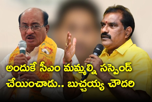 TDP Mlas Press meet