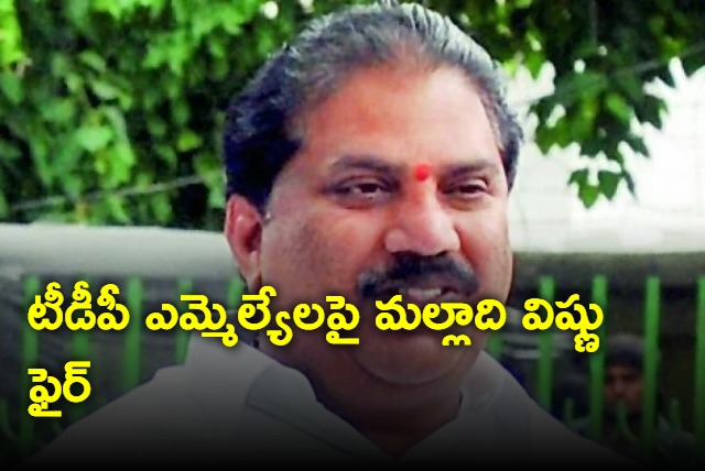 Malladi Vishnu fires on TDP MLAs