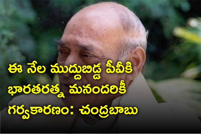 Chandrababu tweets on Bharataratna for PV Narasimha Rao