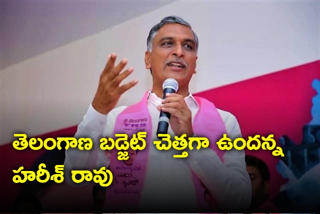 Harish Rao fires on TS budget