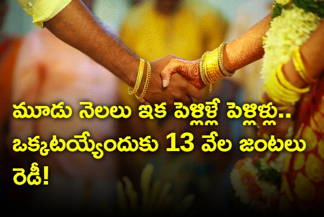 13 thousand couples ready to be one in Maghamasam in Hyderabad