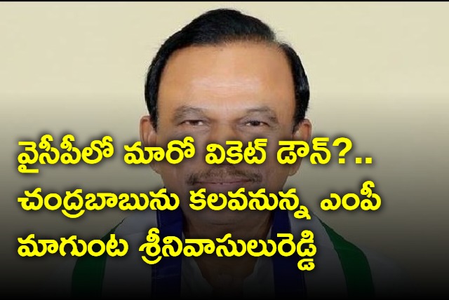 YSRCP MP Magunta Sreenivasulu Reddy to join TDP