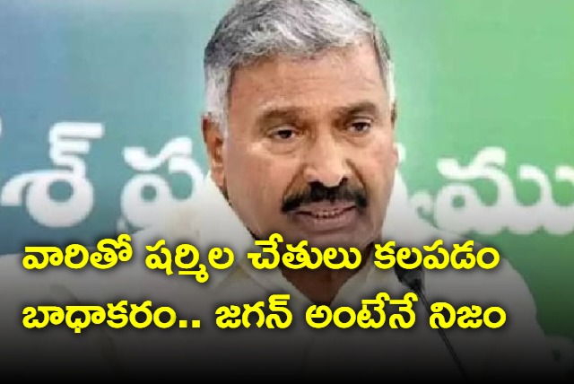 Sharmila joining hands with Chandrababu is very sad says Peddireddi Ramachandra Reddy