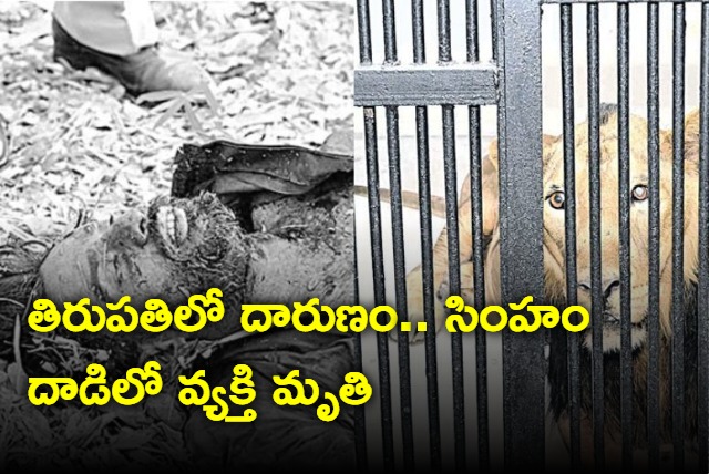 Tourist visiting Tirupati sri venkateshwara zoological park died in lion attack