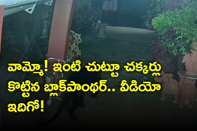 Black Panther Roaming Around House In Tamil Nadu Here Is The Video