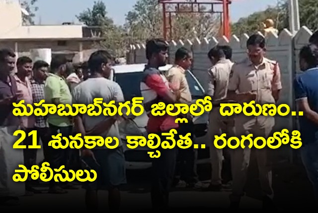 21 Stray Dogs Shot Dead In Mahbubnagar District Ponnakal Village