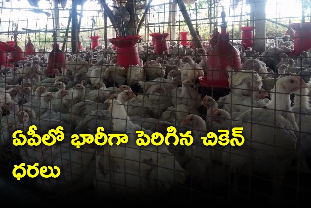 Chicken prices have increased to rs 300 drastically in Andhrapradesh