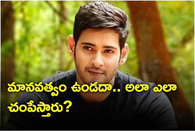 Mahesh Babu complements to Poacher series