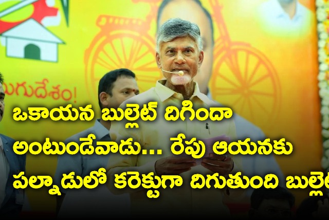 Chandrababu satires on YCP leaders in Nellore