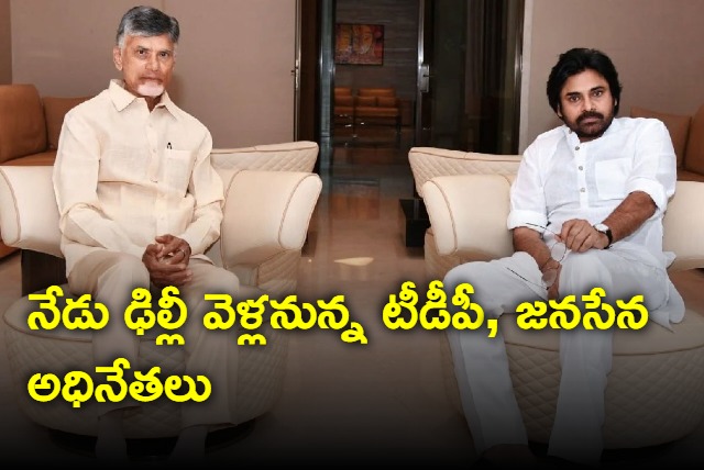 TDP chief Chandrababu and and Janasena leader pawan Kalyan will go to Delhi to meet Amith Shah