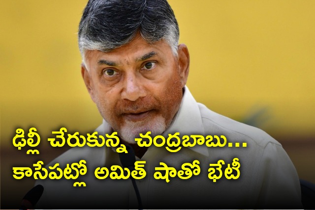 Chandrababu arrives Delhi