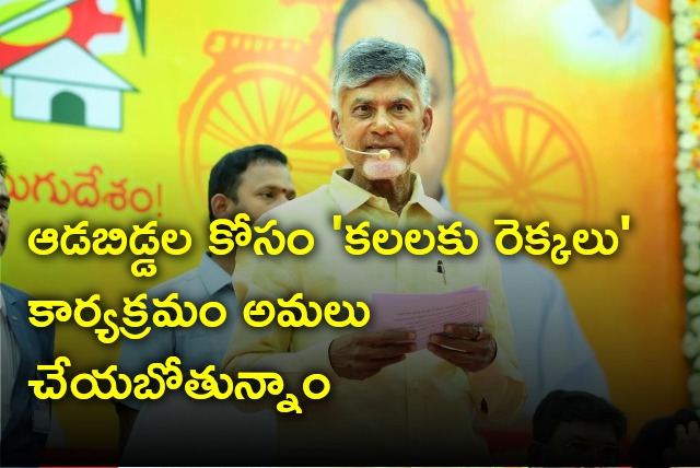 Chandrababu Naidu explains about Kalalaku Rekkalu scheme 