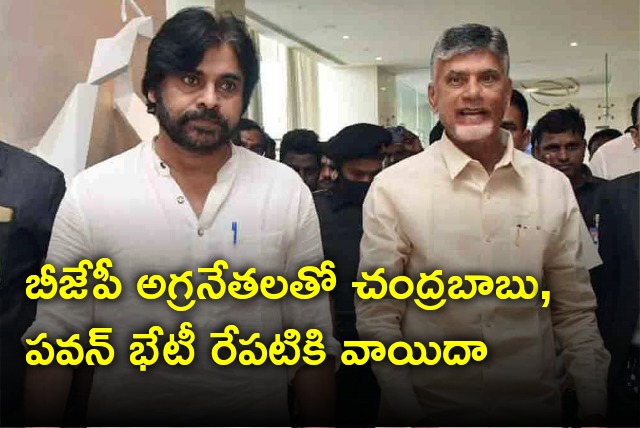 Chandrababu and Pawan will meet BJP top brass tomorrow