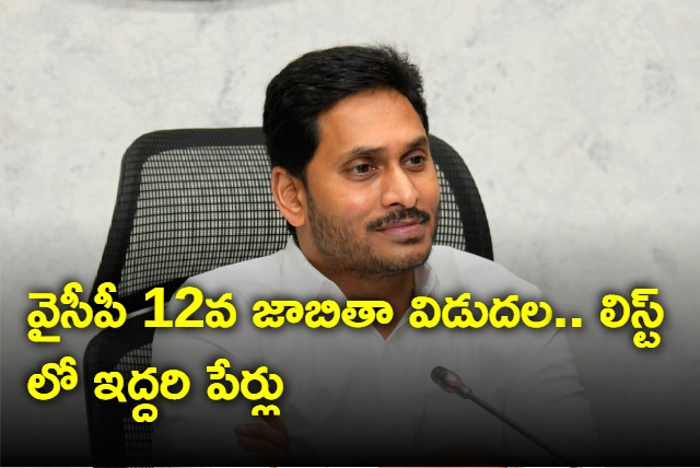 YSRCP 12th list