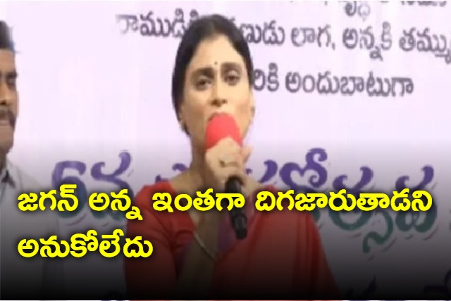 Relatives killed YS Vivekananda Reddy says Sharmila