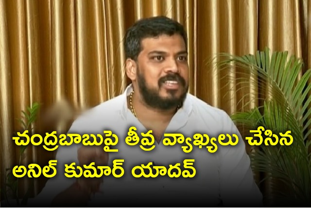 Anil Kumar Yadav severe comments on Chandrababu 