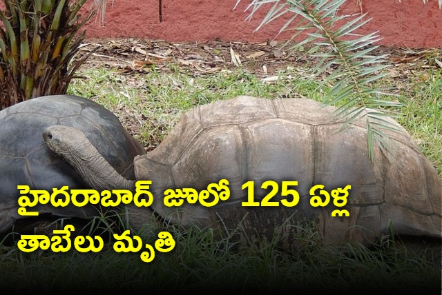 Giant Galapagos tortoise in Hyderabad zoo dies