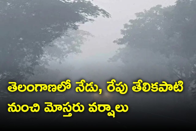 Light to Moderate Rain or Thundershowers in telangana