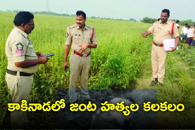 Double Murder In Kakinada Rural village